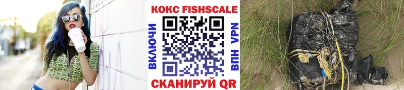 Cocaine FishScale  Купить закладки  Коркино 