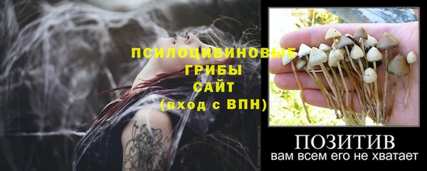 хмурый Наволоки