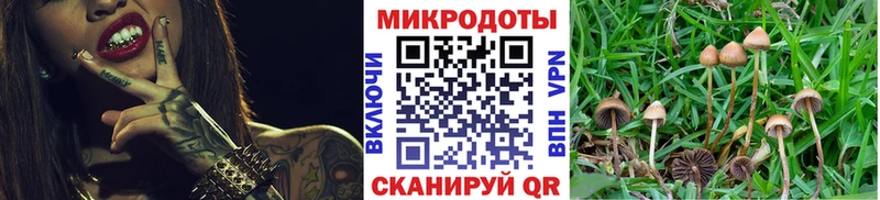 Псилоцибиновые грибы ЛСД  Купить где  Коркино 